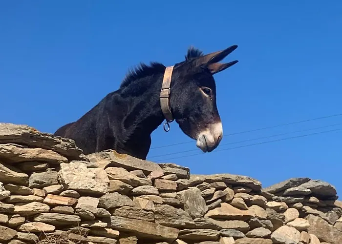 Kerylos , Au Coeur De Parikia, Avec Jardin